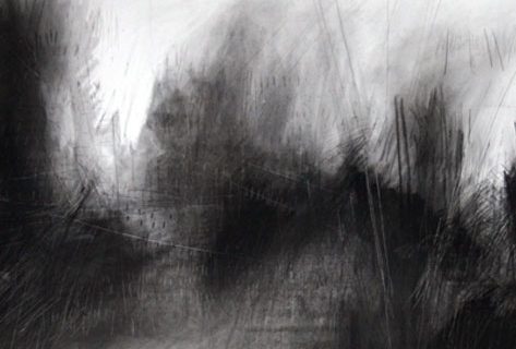 Hallveig Agustsdotir_ACBperformance-drawing-2 DETAIL